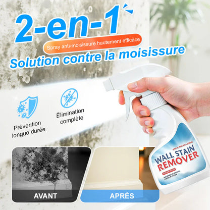 🆙 Hochwirksames Anti-Schimmel-Spray – verhindert das erneute Wachstum von Schimmel. Schützt die Gesundheit Ihrer Familie und Ihre eigene.